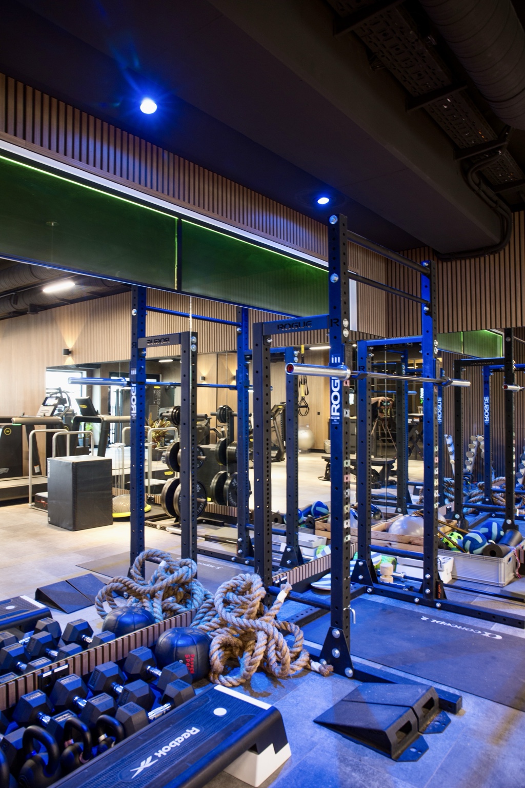 Fitnessbereich mit dynamischer blauer RGB-Akzentbeleuchtung